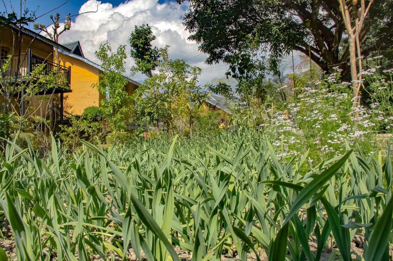 Prakriti Aalay - Riverside Mountain View Boutique Eco Resort Dharamshala Dış mekan fotoğraf