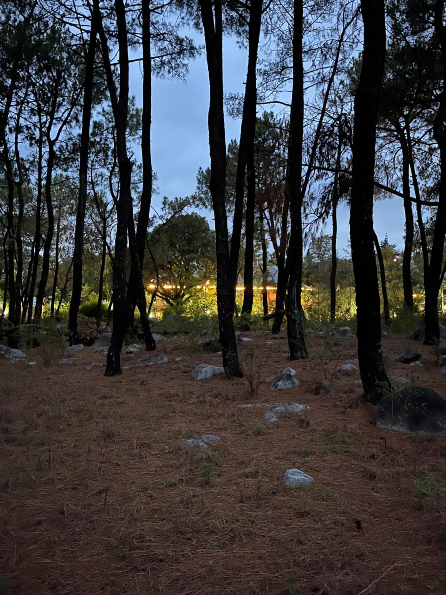Prakriti Aalay - Riverside Mountain View Boutique Eco Resort Dharamshala Dış mekan fotoğraf