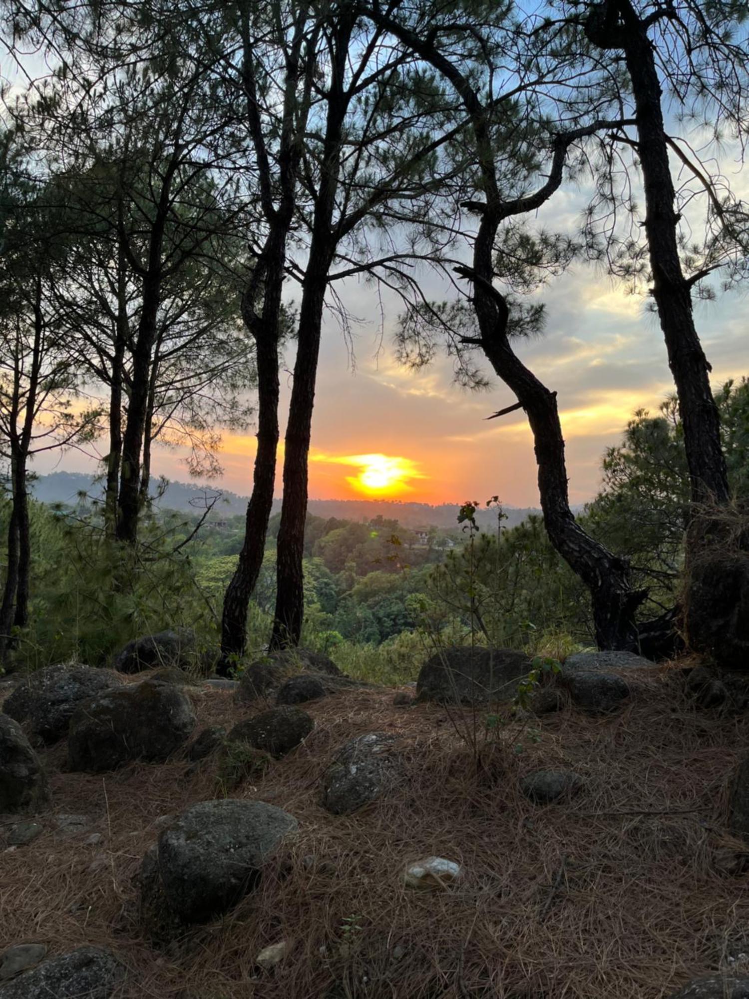 Prakriti Aalay - Riverside Mountain View Boutique Eco Resort Dharamshala Dış mekan fotoğraf